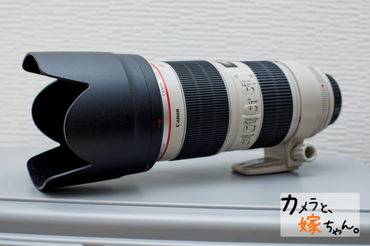 レビュー】Canon大三元レンズ EF70-200mm F2.8L IS II USM - カメラと