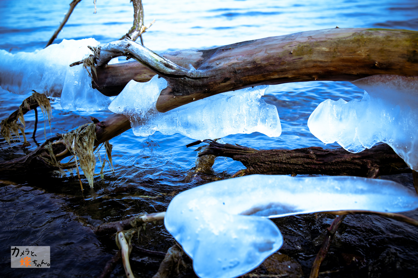 洞爺湖しぶき氷